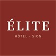 Elite Hotel Logotype Positif Rouge V1